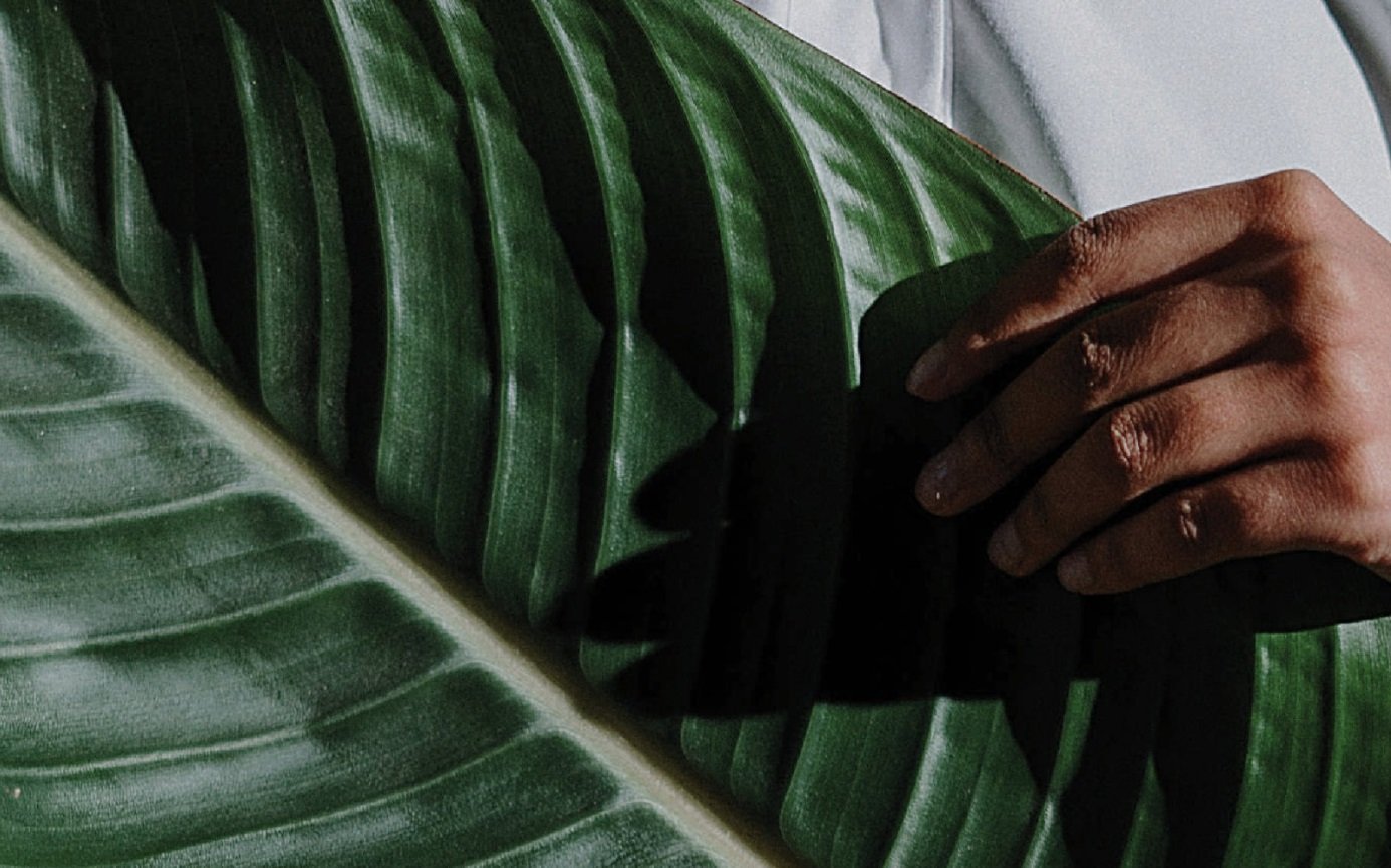 CURA DEL CORPO
